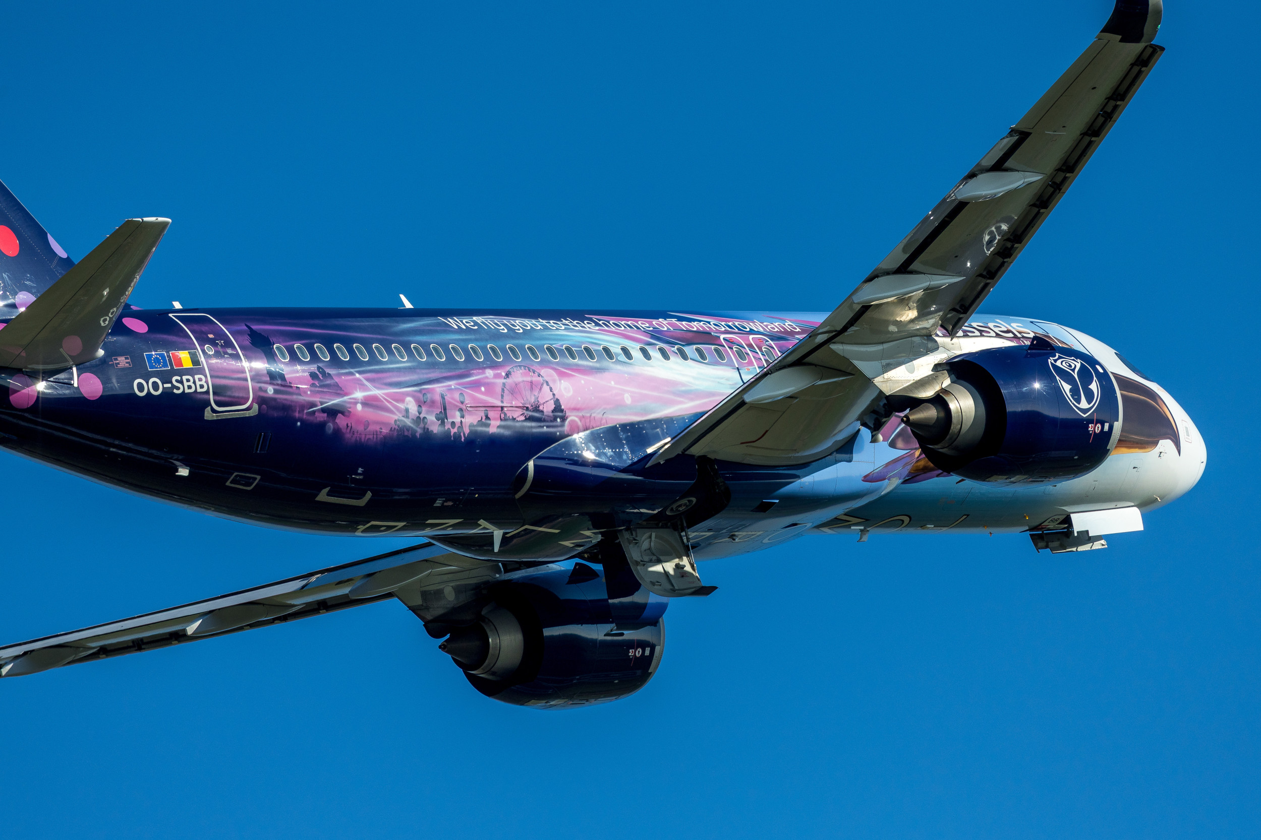 amare-plane.jpg