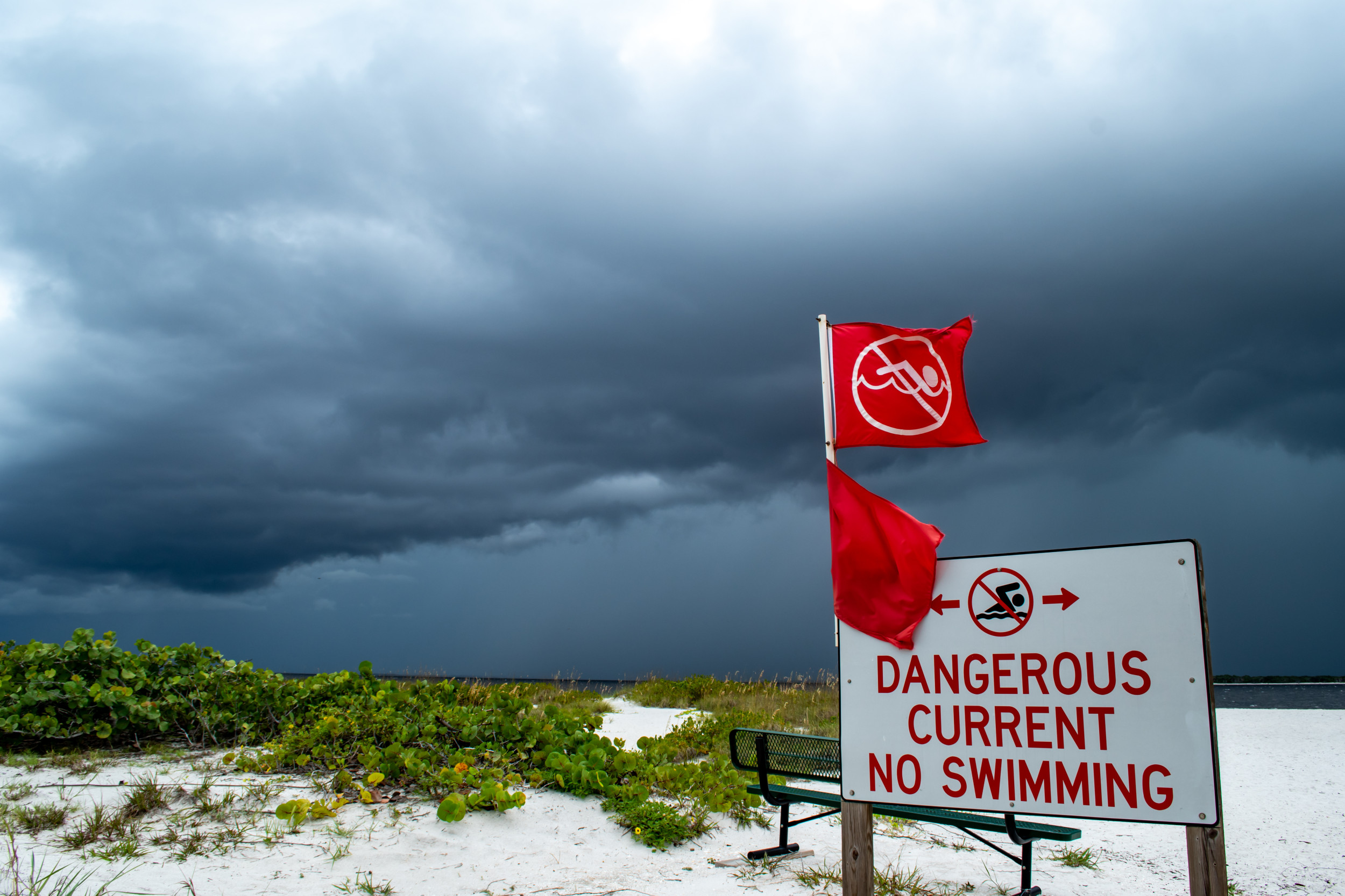 florida-swimmer-dies-beachgoers-warned.jpg