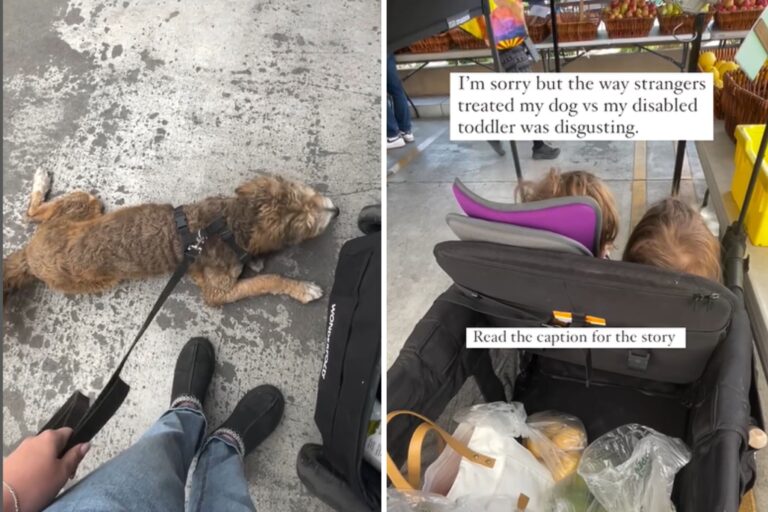 dog-children-market.jpg