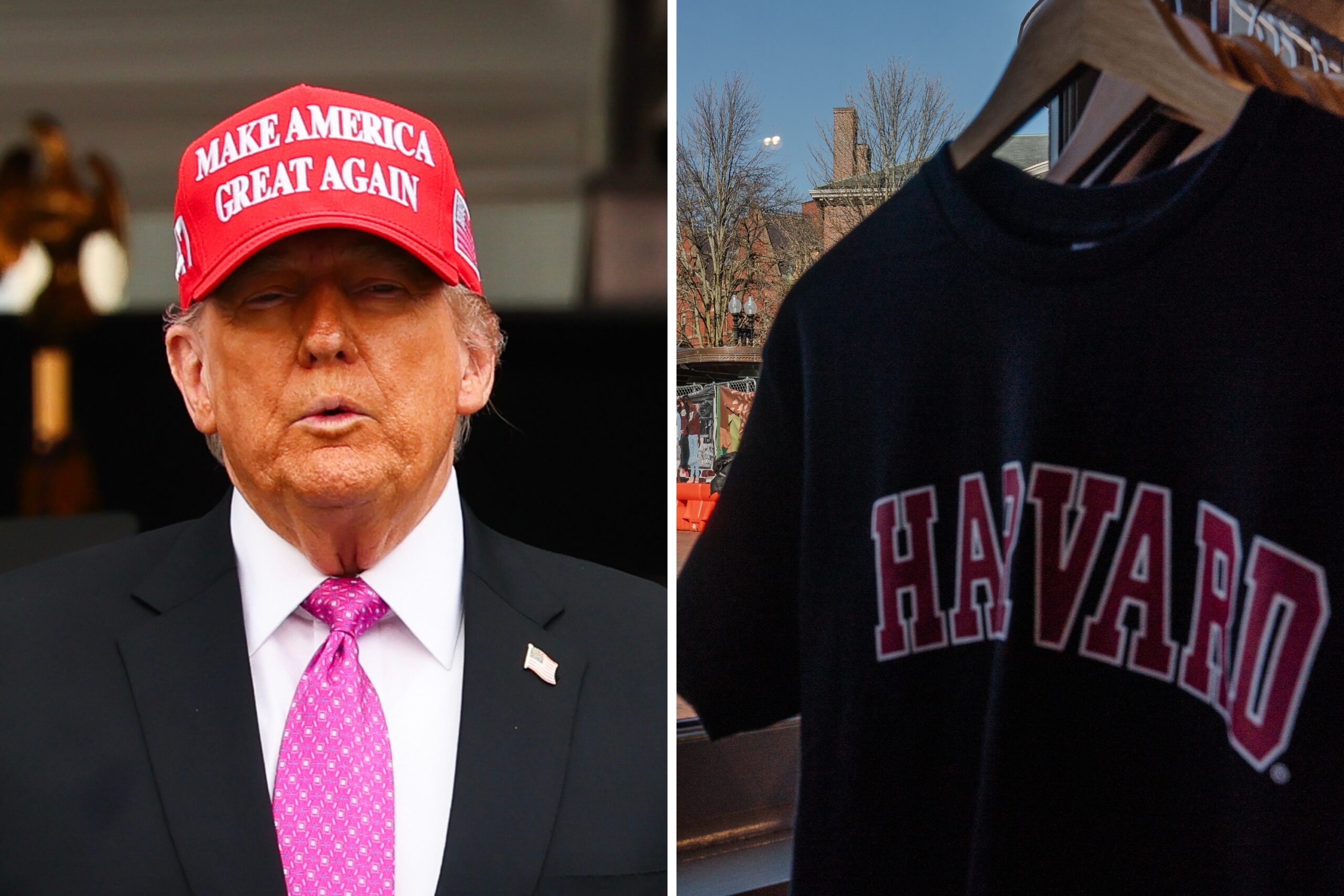 donald-trump-harvard-shirt.jpg