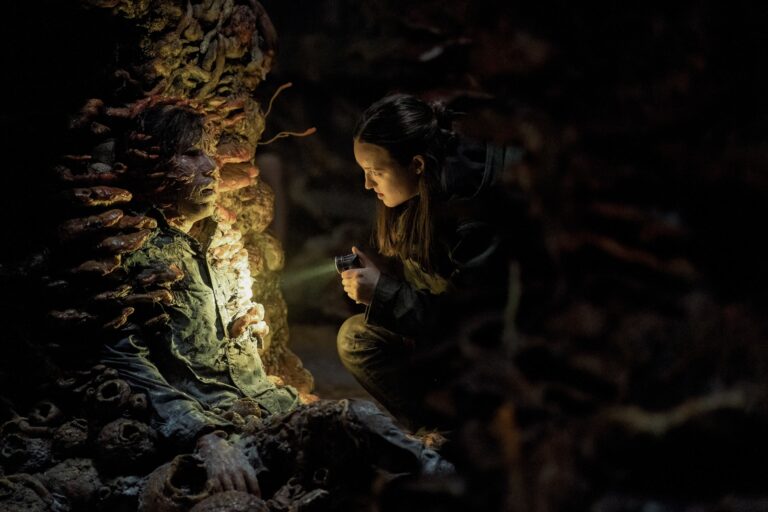 last-us-season-2-episode-5.jpg