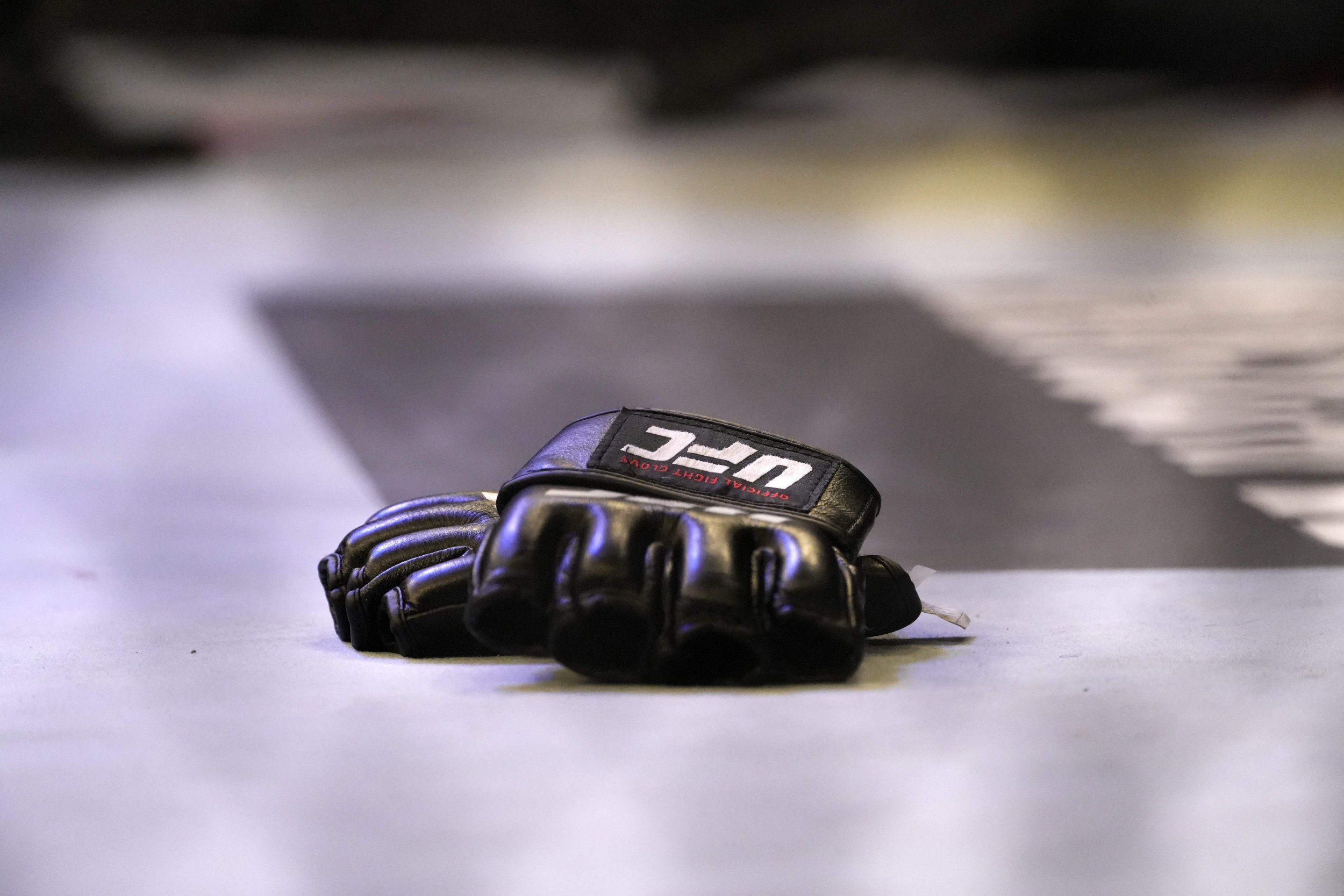 ufc-gloves.jpg