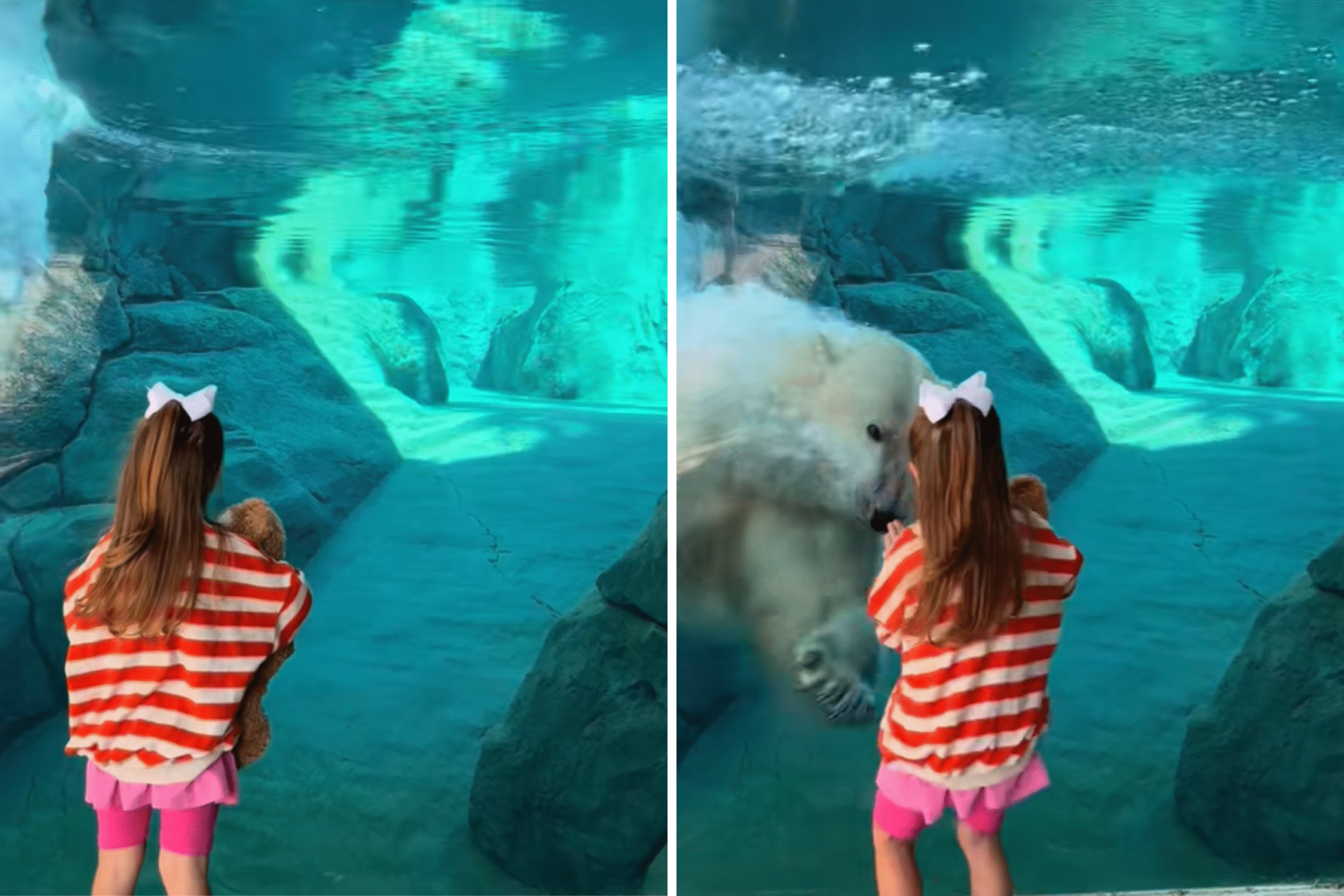 girls-encounter-polar-bear.png