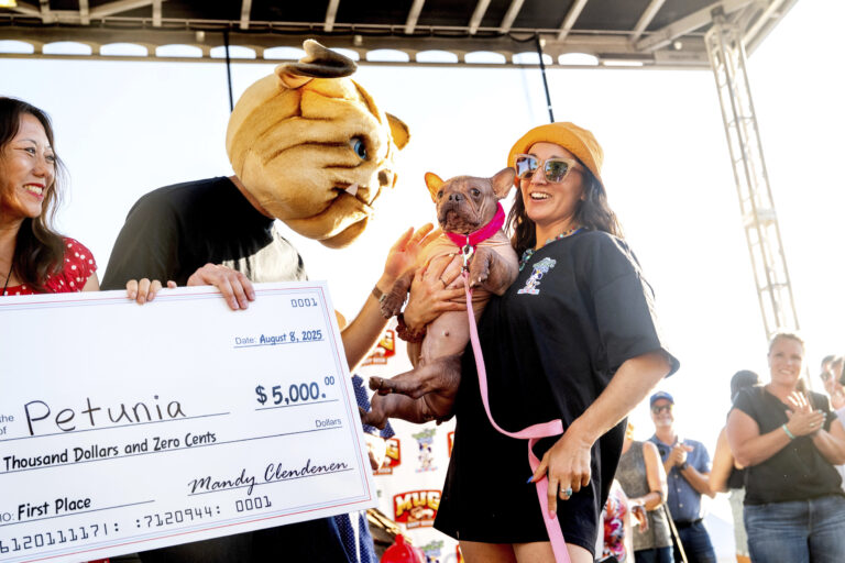 worlds-ugliest-dog.jpg