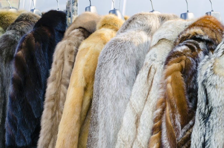 stock-image-fur-coats.jpg