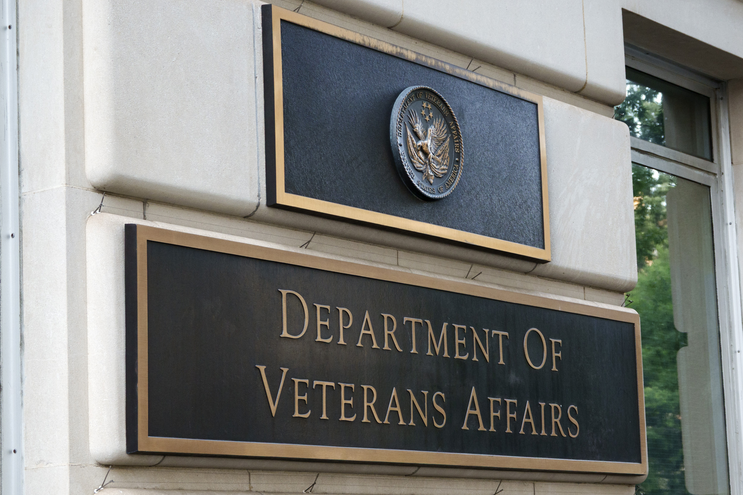 veterans-affairs-diabetes-monitoring-system.jpg
